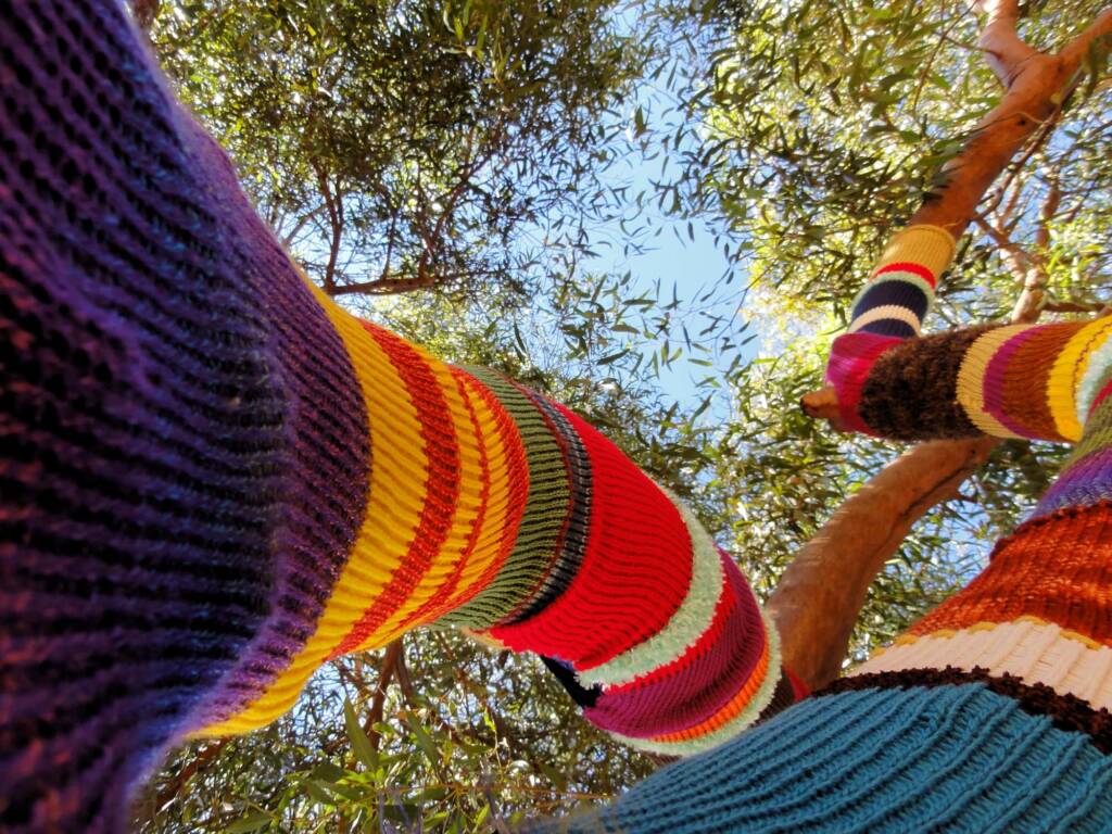 Yarn Bomb Eucalypt 2012, Alice Springs NT