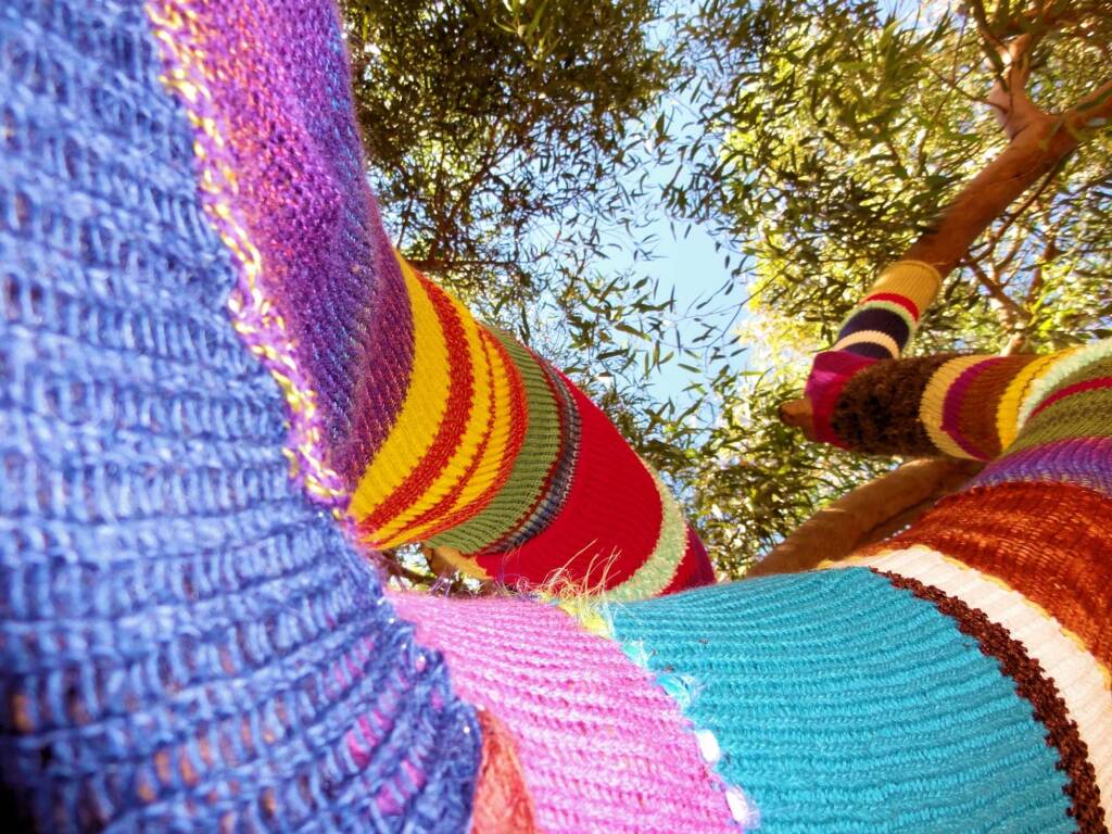 Yarn Bomb Eucalypt 2012, Alice Springs NT