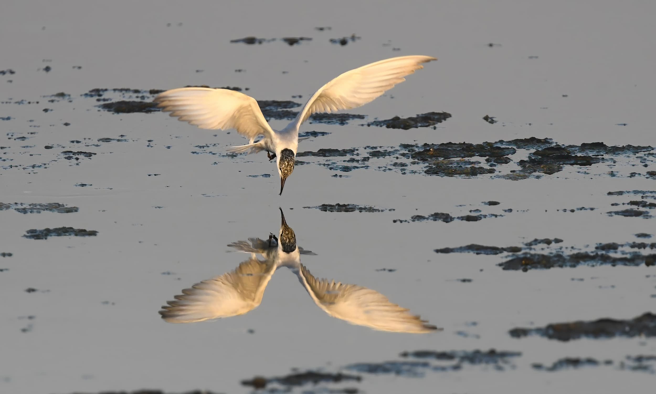 Fleeting moments of reflection