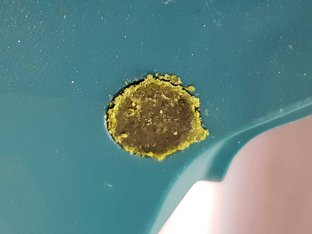 Megachile aurifrons vs Makita (Native bee vs Makita), Alice Springs NT