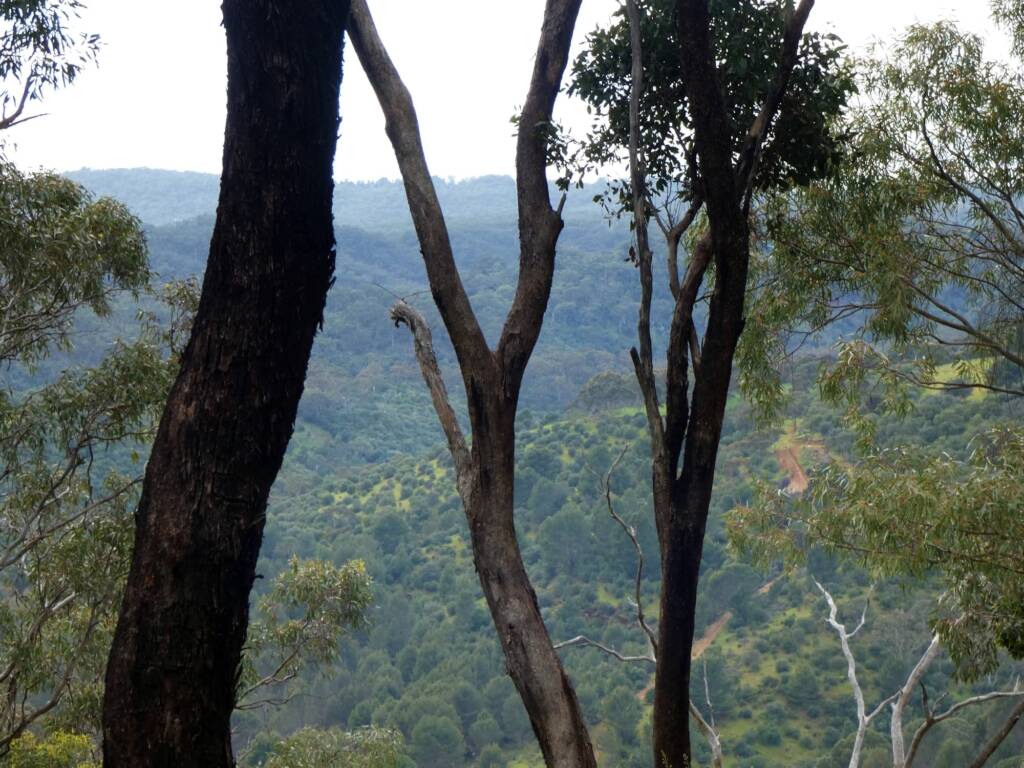 View of Adelaide Hills SA © Marianne Broug