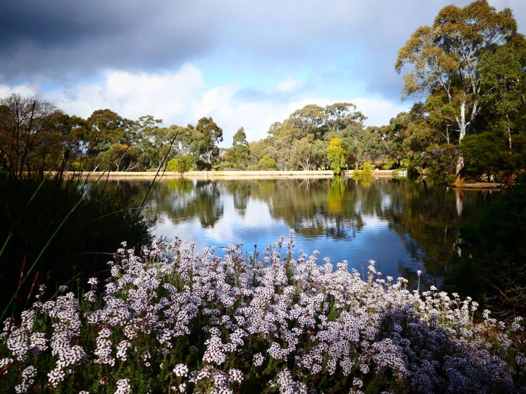 Wittunga Botanic Garden SA © Marianne Broug