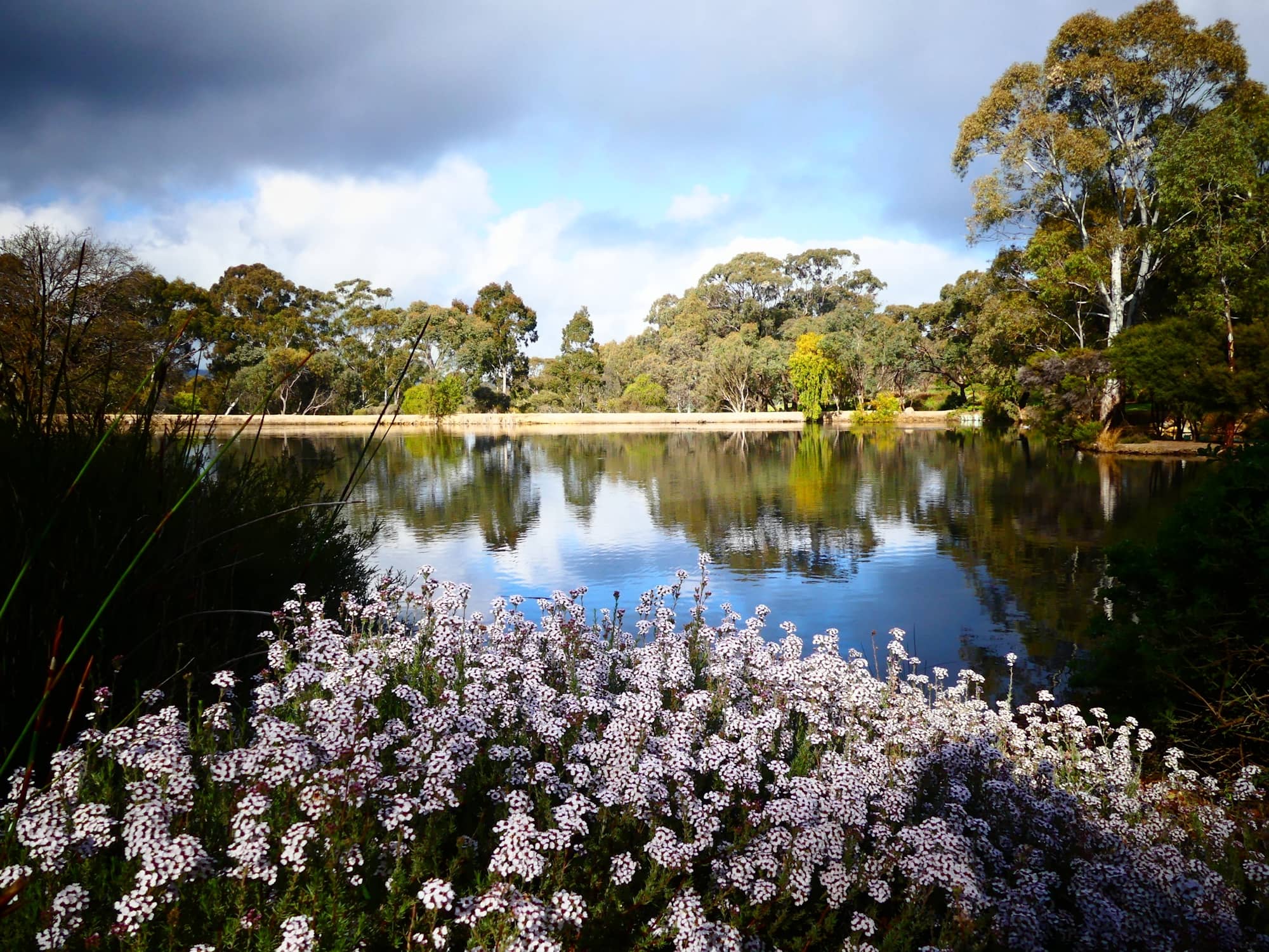 Wittunga Botanic Garden SA © Marianne Broug