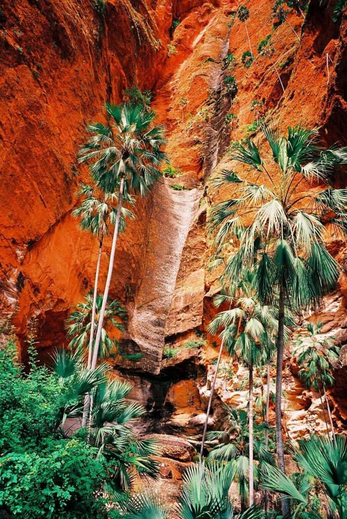 Bungle Bungles, Purnululu National Park WA © Hans Boessum