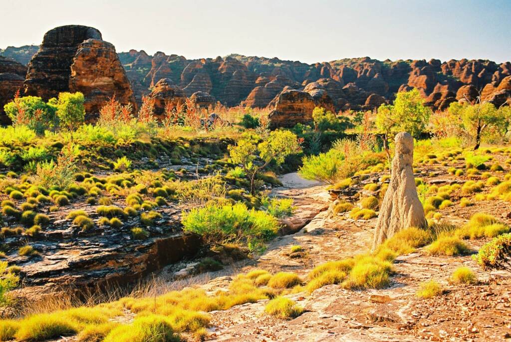 Bungle Bungles, Purnululu National Park WA © Hans Boessum