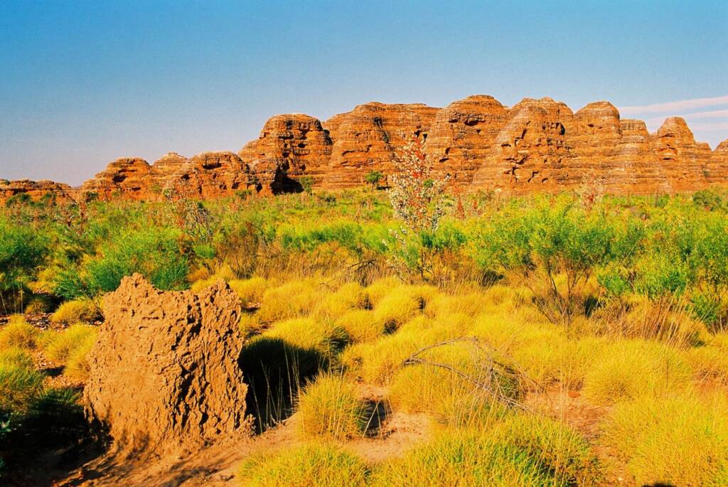 Bungle Bungles, Purnululu National Park WA © Hans Boessum