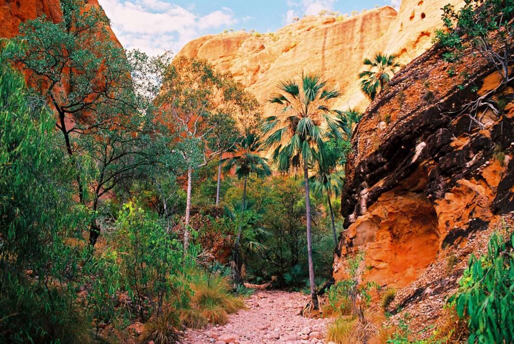 Bungle Bungles, Purnululu National Park WA © Hans Boessum