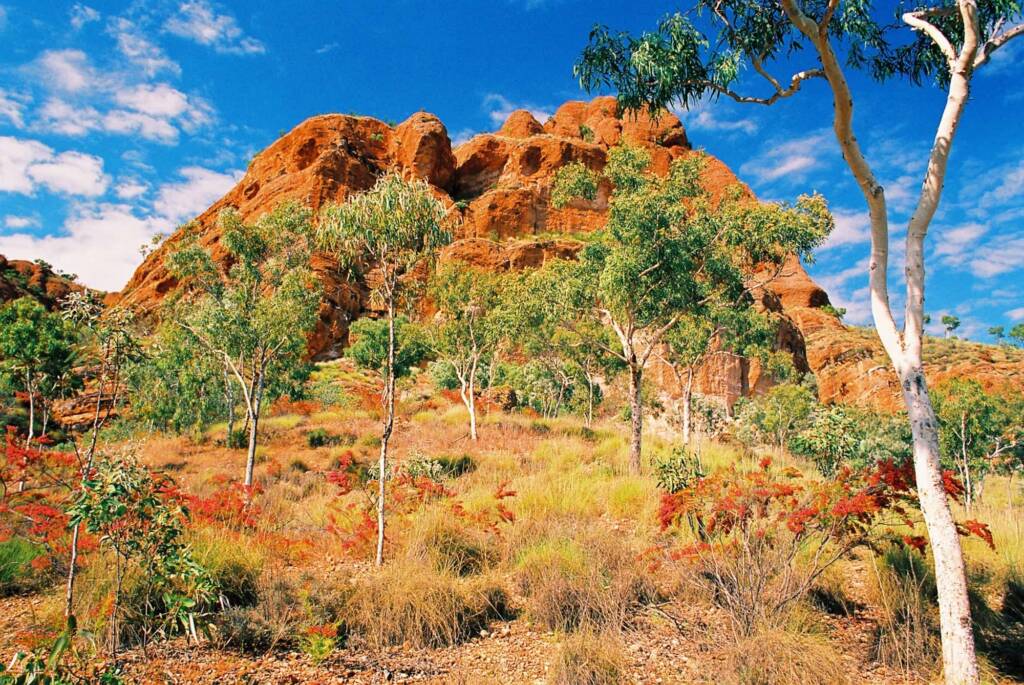 Bungle Bungles, Purnululu National Park WA © Hans Boessum