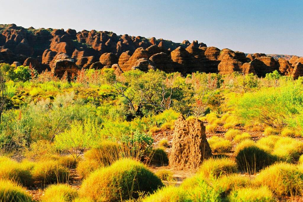 Bungle Bungles, Purnululu National Park WA © Hans Boessum