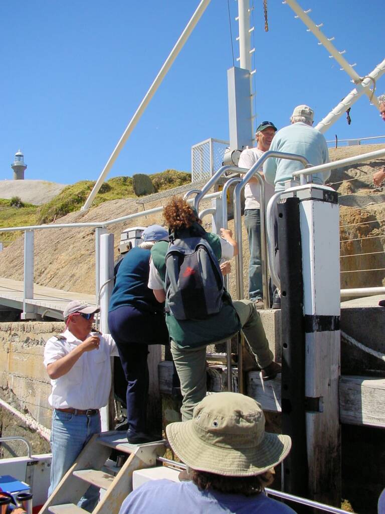 Charter tour, Barunguba Montague Island NSW