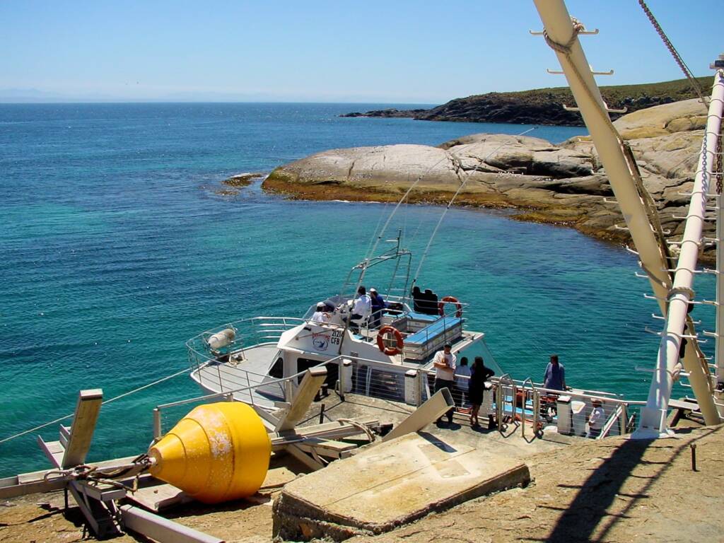 Charter tour, Barunguba Montague Island NSW