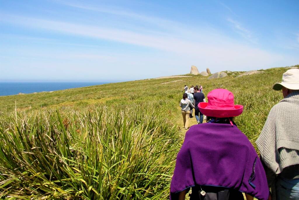 Walking track, Barunguba Montague Island NSW