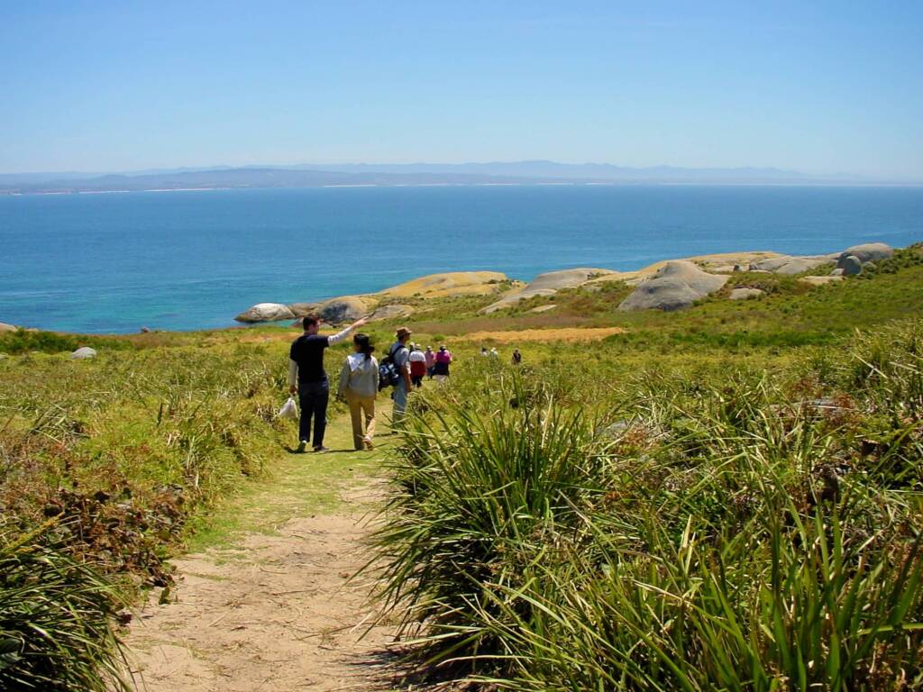Walking track, Barunguba Montague Island NSW