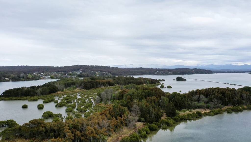 Fig 4 Quondolo Island in 2023 © Phil Warburton