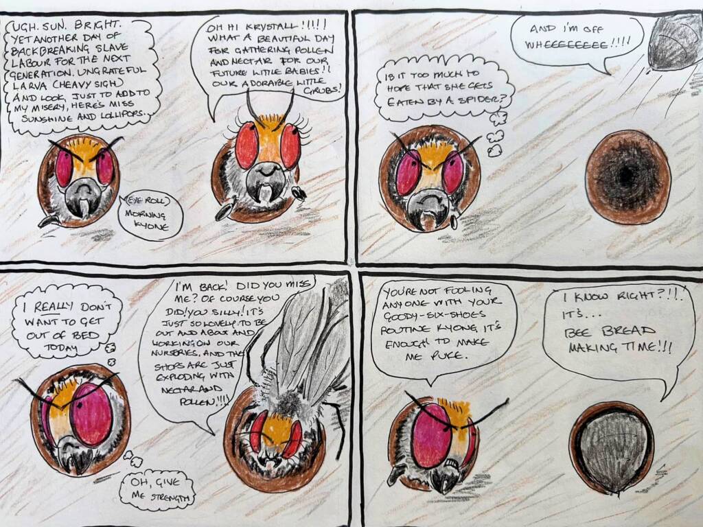 The Real Housebees of Berrinba, by Annette Fraser-Dunn