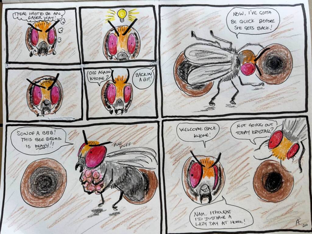 The Real Housebees of Berrinba, by Annette Fraser-Dunn