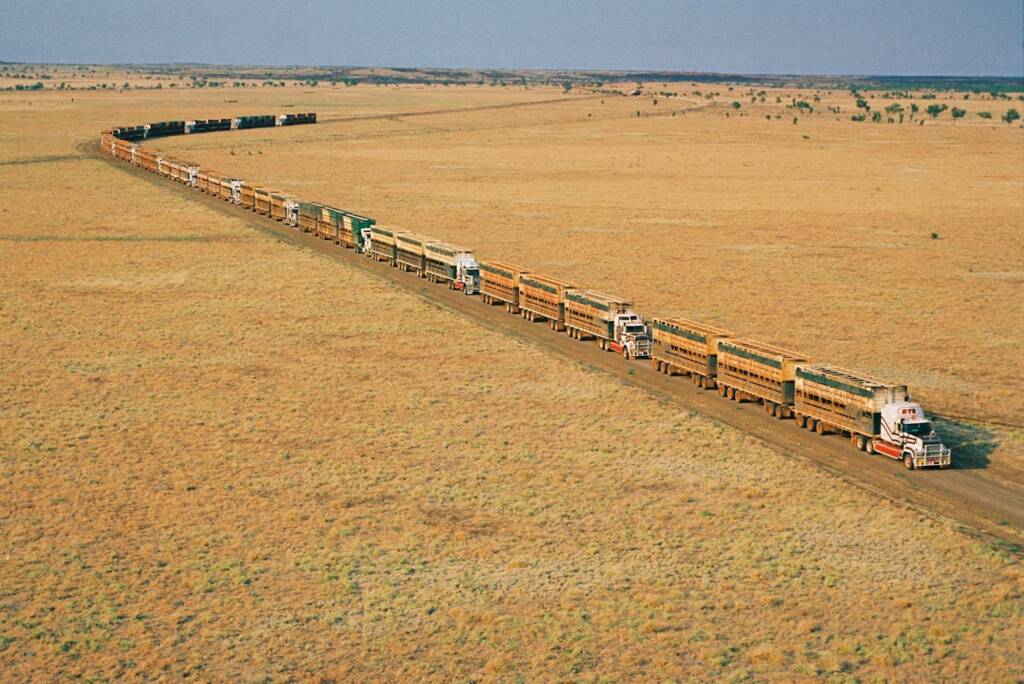 17 Road Trains at Helen Springs Station NT © Hans Boessum