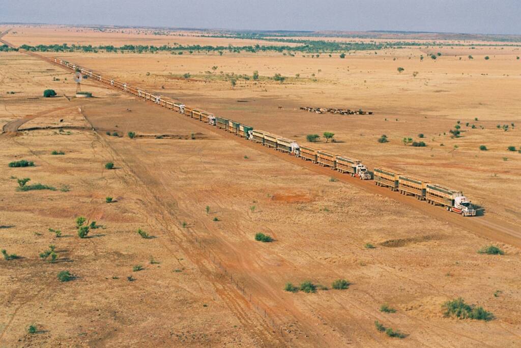 17 Road Trains at Helen Springs Station NT © Hans Boessum