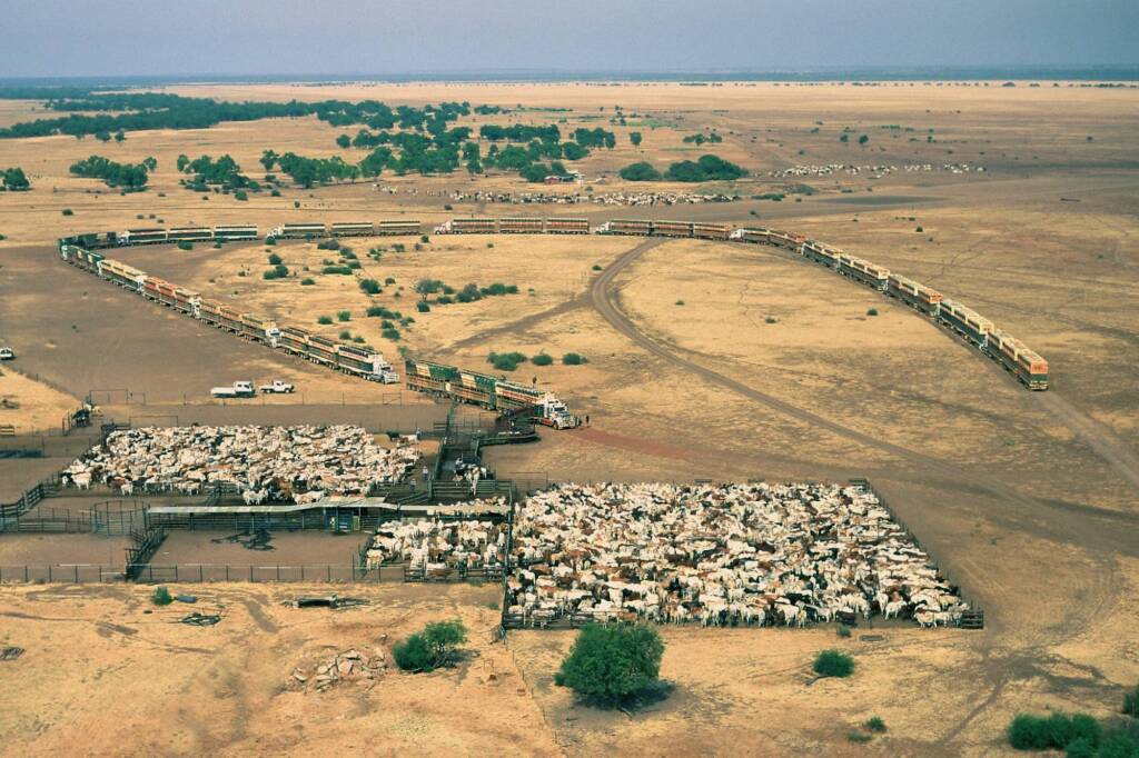 17 Road Trains at Glen Helen Station, Central Australia NT © Hans Boessum