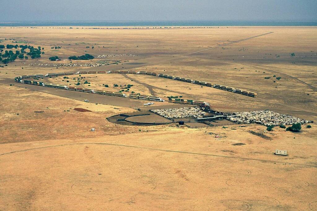 17 Road Trains at Glen Helen Station, Central Australia NT © Hans Boessum