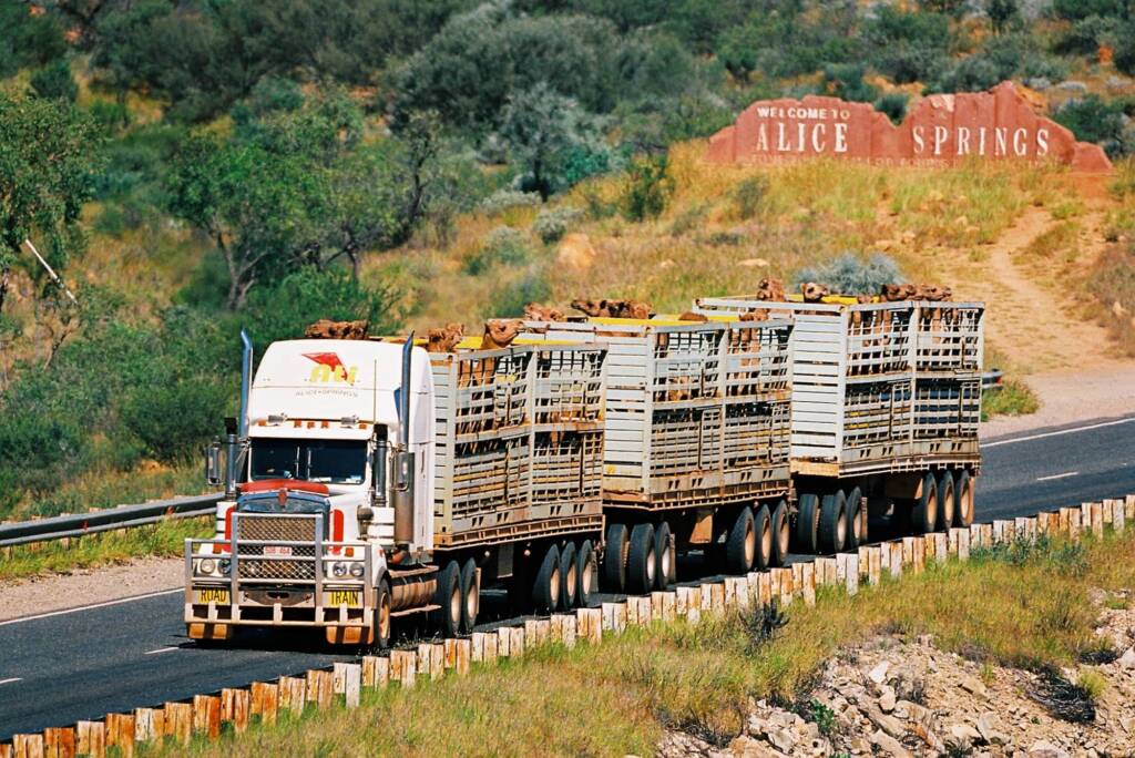 Road Train (transporting camels) leaving Alice Springs NT © Hans Boessum