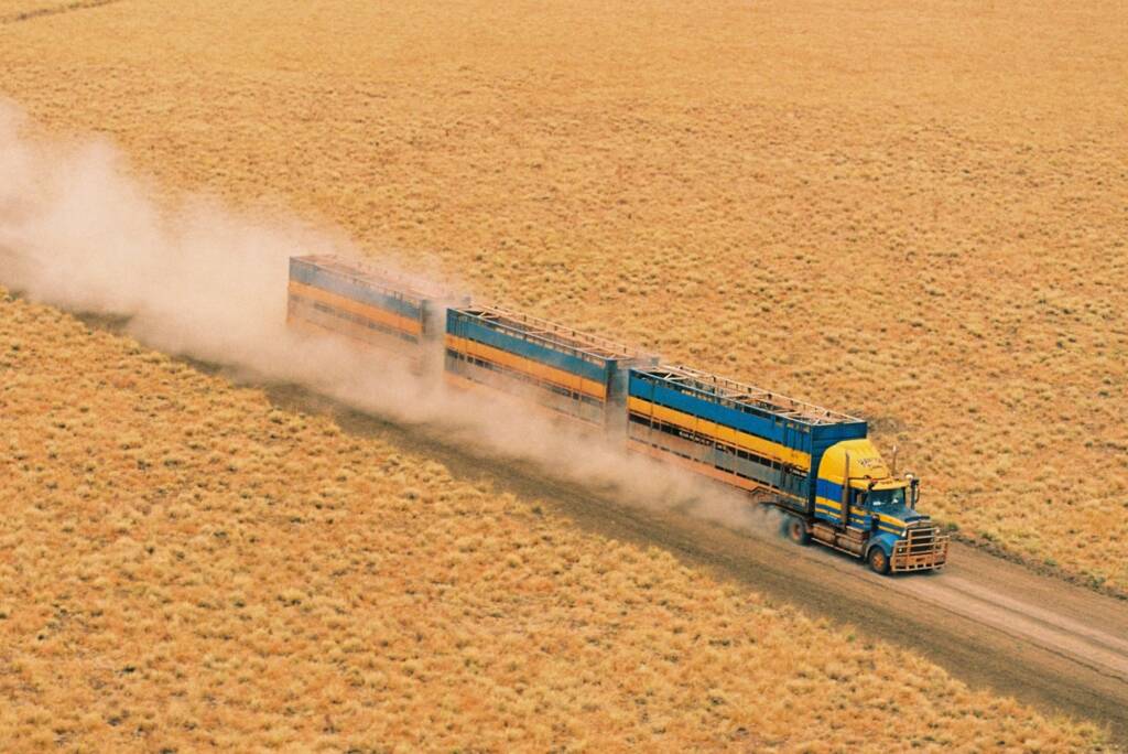 Transporting cattle from station © Hans Boessum