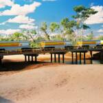 Shell Road Train (on bridge over sandy river bed) © Hans Boessum