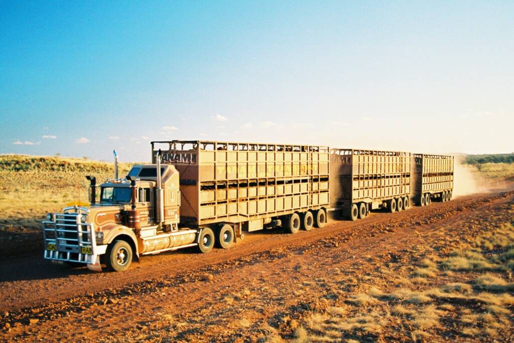 Cattle truck road train on Tanami Rd, Central Australia © Hans Boessum
