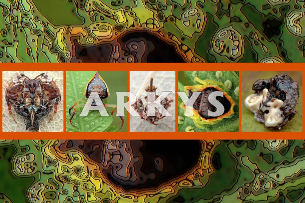 Arkys - Ausemade filmstrip