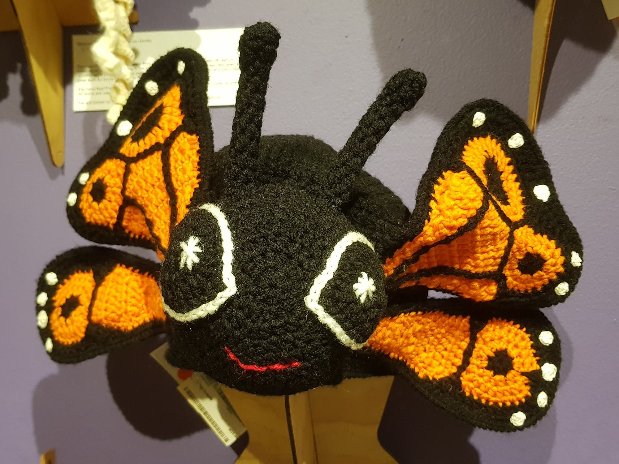 Fly High Butterfly by Karen Farrell, Cooma NSW - Alice Springs Beanie Festival 2024