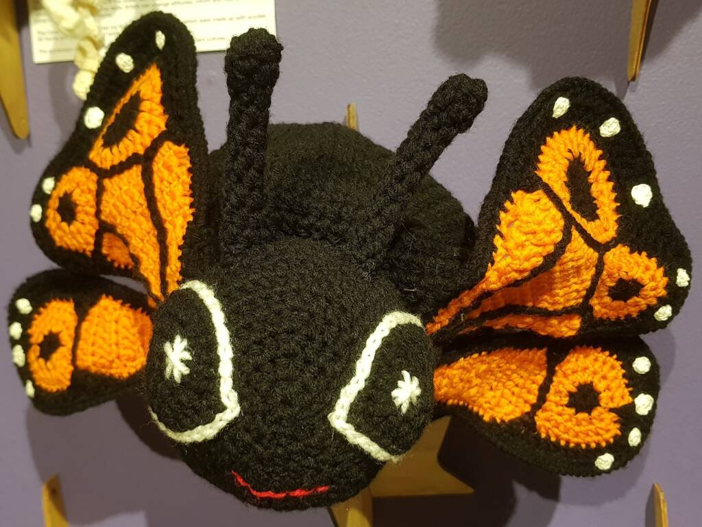 Fly High Butterfly by Karen Farrell, Cooma NSW - Alice Springs Beanie Festival 2024
