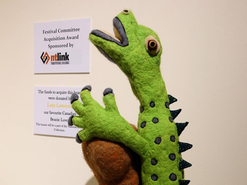 Lizard on a rock by Kristian Malinski - Alice Springs Beanie Festival 2024