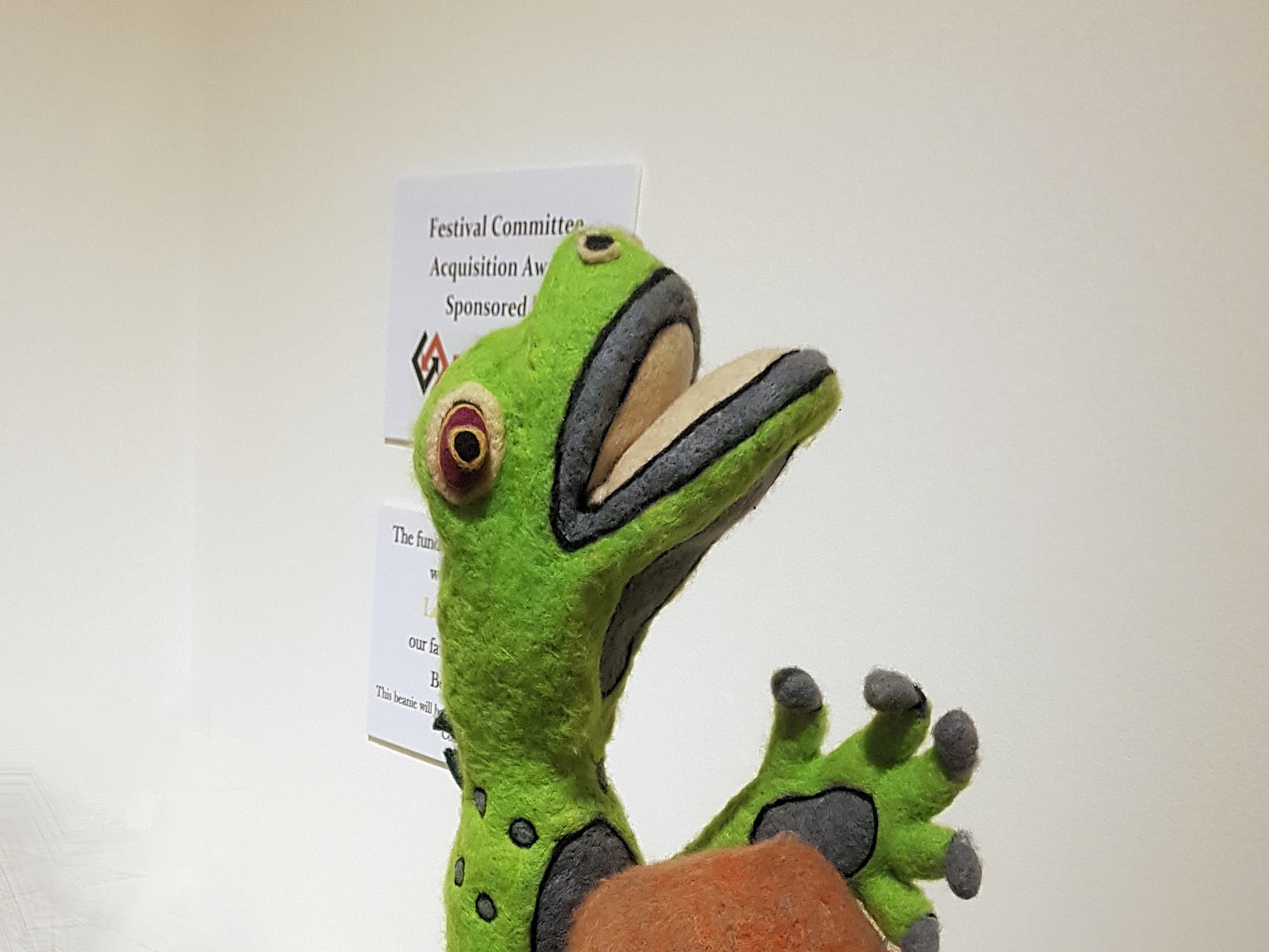 Lizard on a rock by Kristian Malinski - Alice Springs Beanie Festival 2024