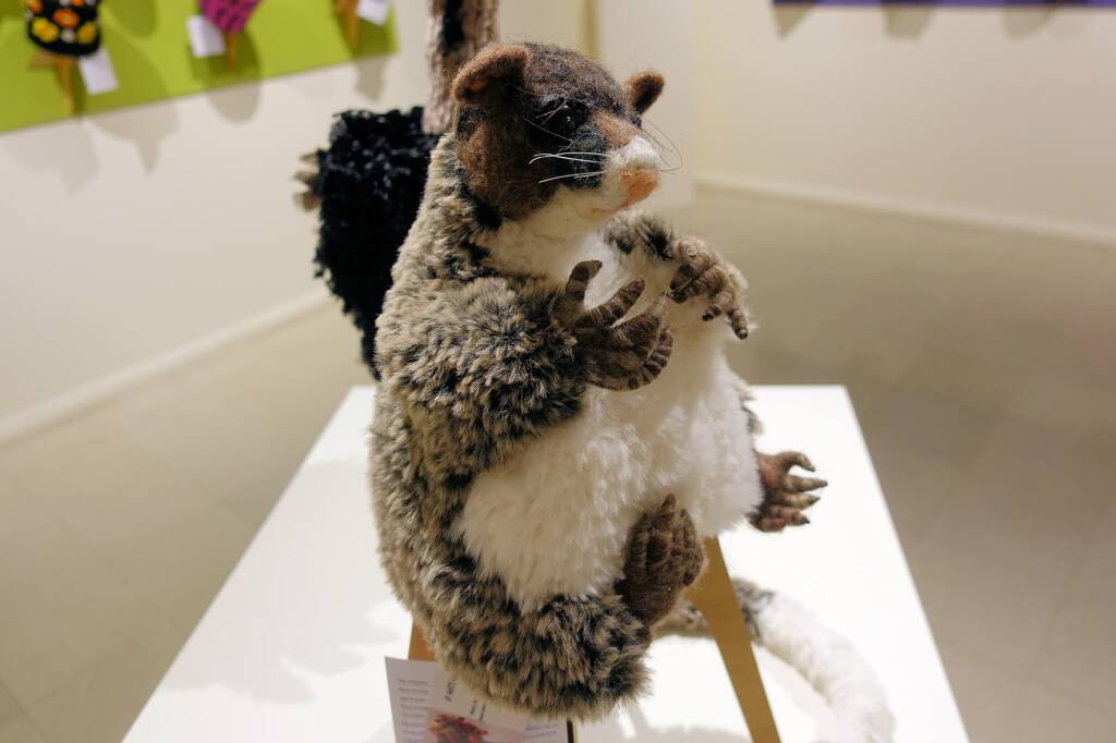 Ring Tail Possum by Lorraine Boomer - Alice Springs Beanie Festival 2024