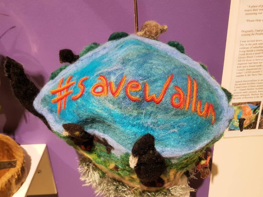#saveWallum Heathland / Save Wallum, by Meggan Jack, Djalgum Tyalgum NSW