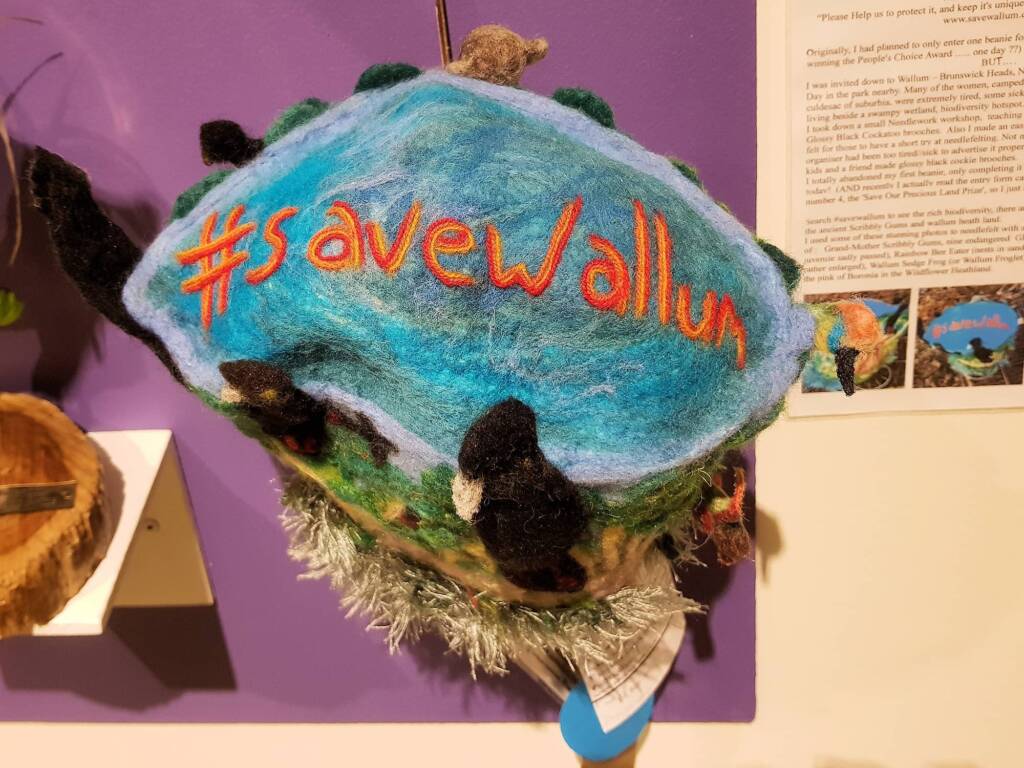 Save Wallum, by Meggan Jack, Djalgum Tyalgum NSW