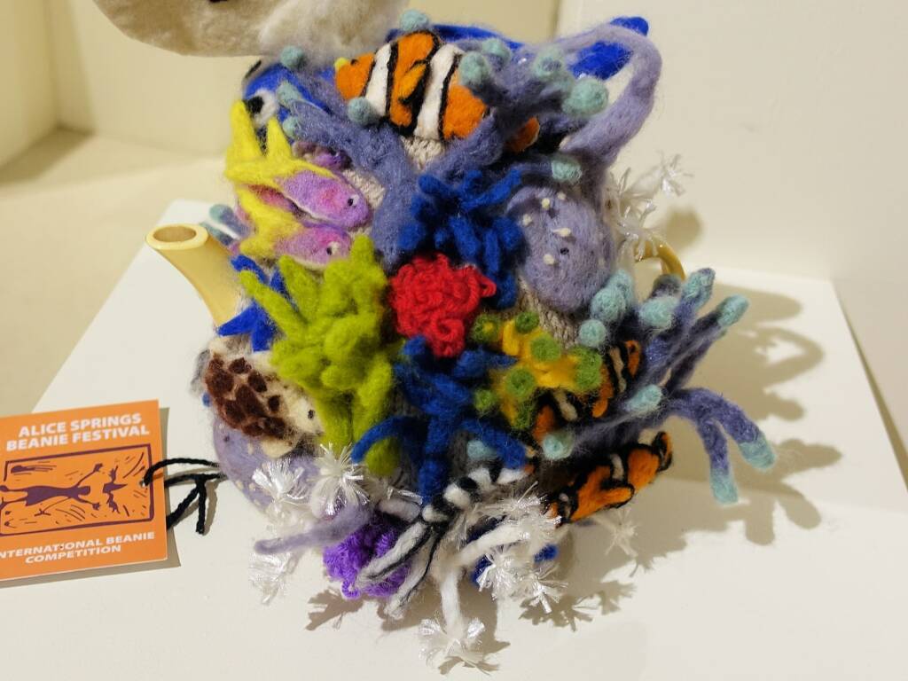 Bleached As Bro, by Deb Taylor Thomson, Darwin NT - Alice Springs Beanie Festival 2024