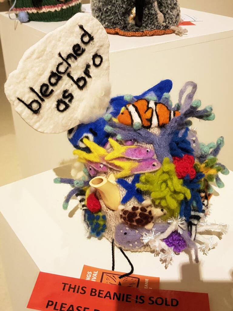 Bleached As Bro, by Deb Taylor Thomson, Darwin NT - Alice Springs Beanie Festival 2024