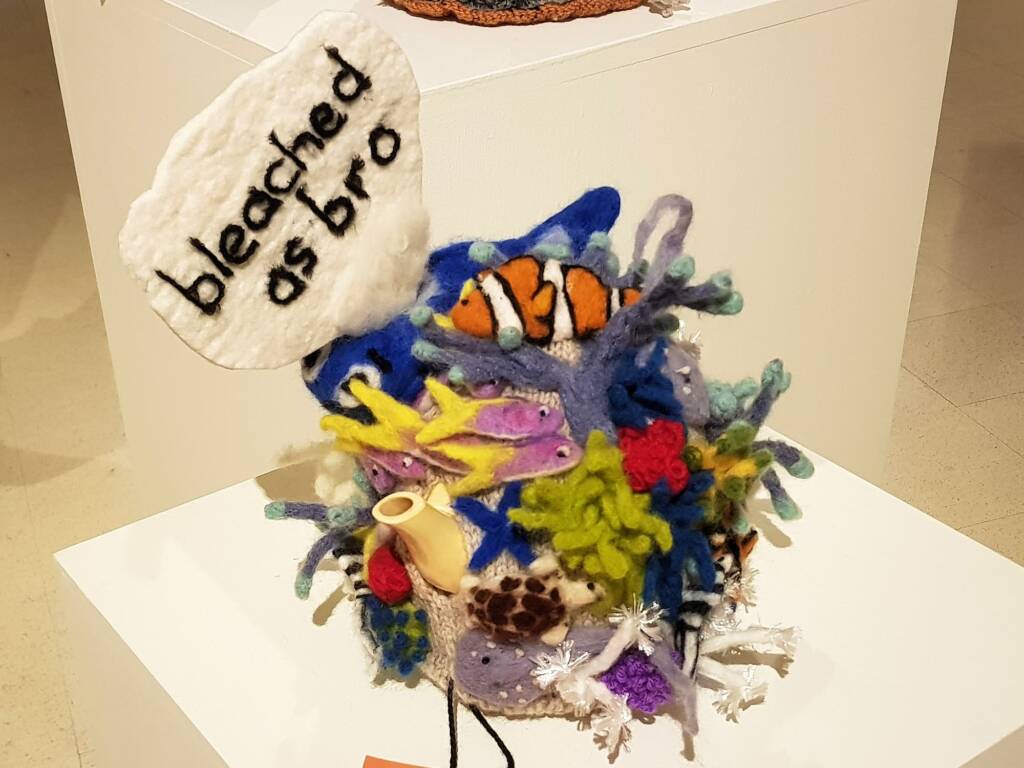 Bleached As Bro, by Deb Taylor Thomson, Darwin NT - Alice Springs Beanie Festival 2024