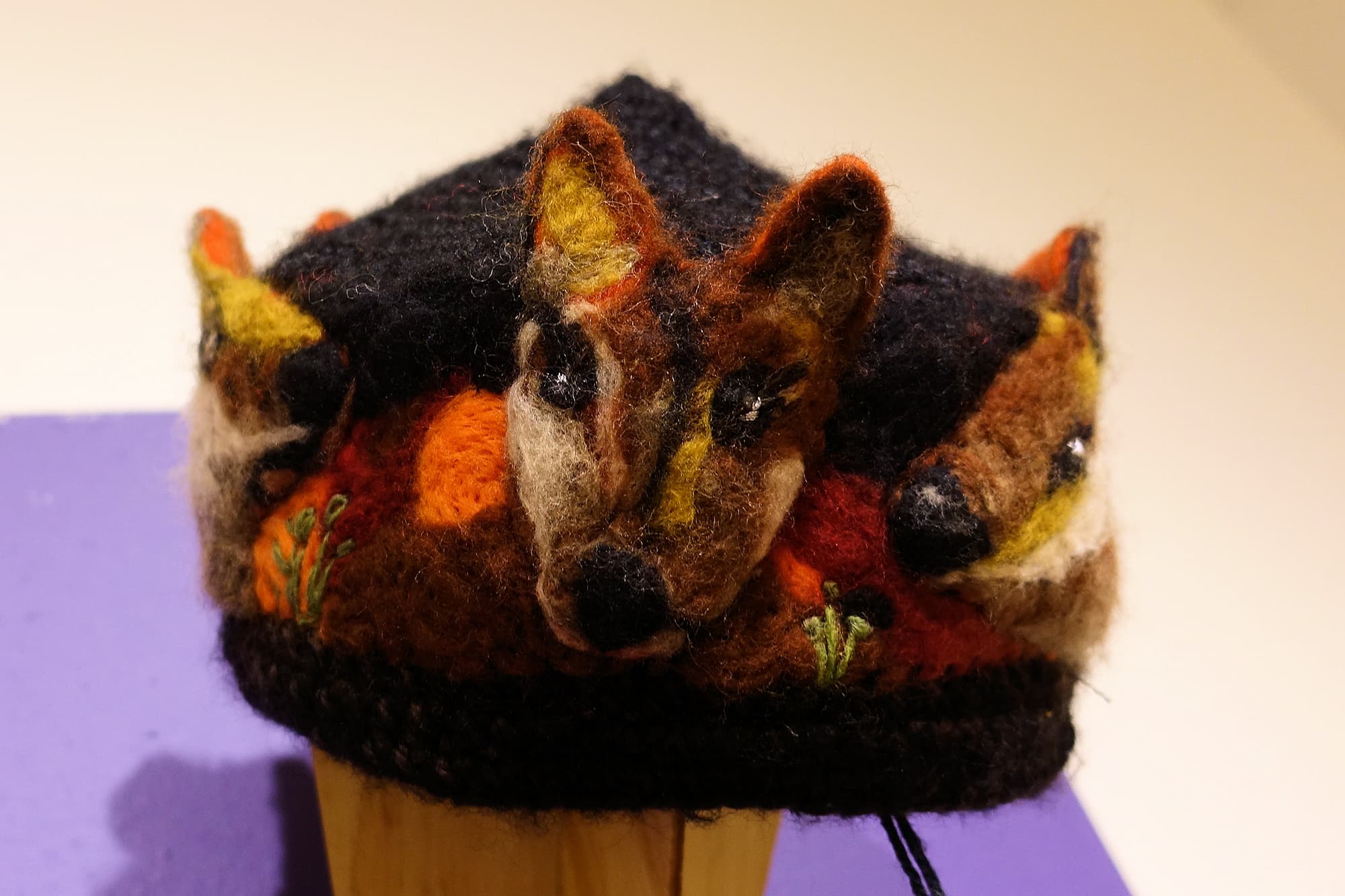 Endangered Black-footed Rock Wallaby by Siri Omberg - Alice Springs Beanie Festival 2024