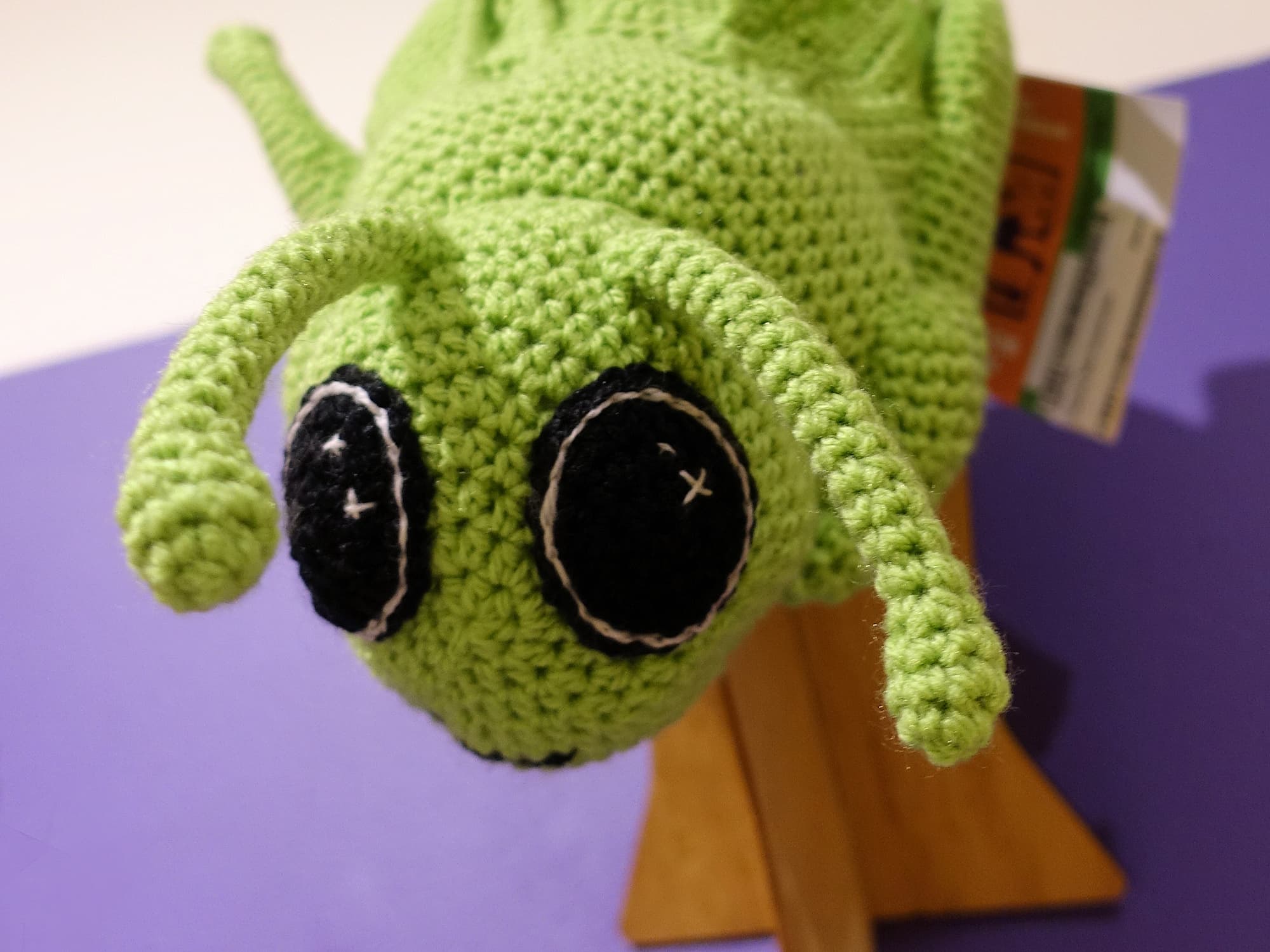 Hopping Mad Grasshopper, by Karen Farrell - Alice Springs Beanie Festival 2024