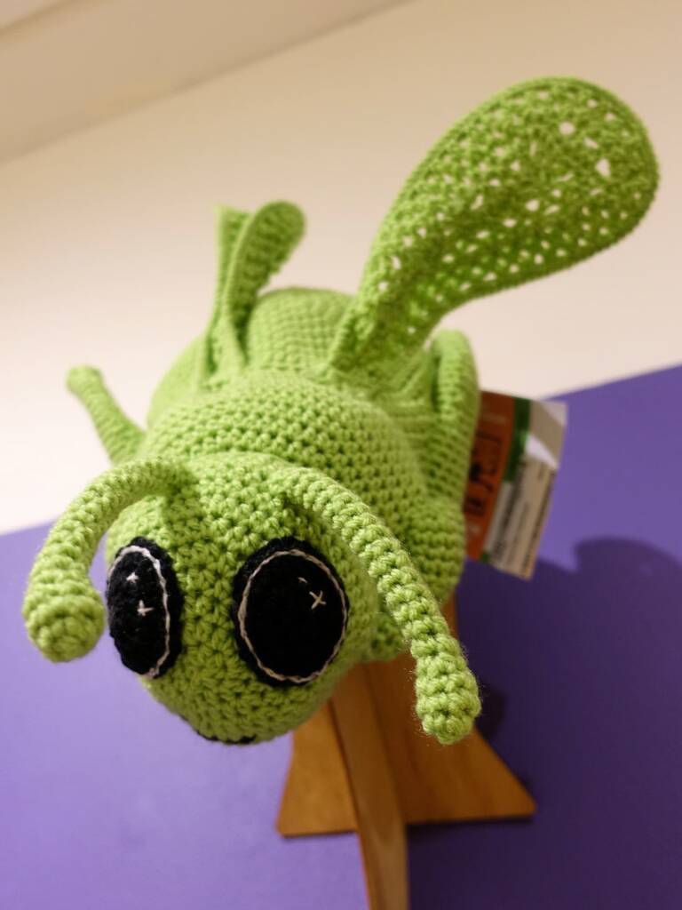 Hopping Mad Grasshopper, by Karen Farrell - Alice Springs Beanie Festival 2024