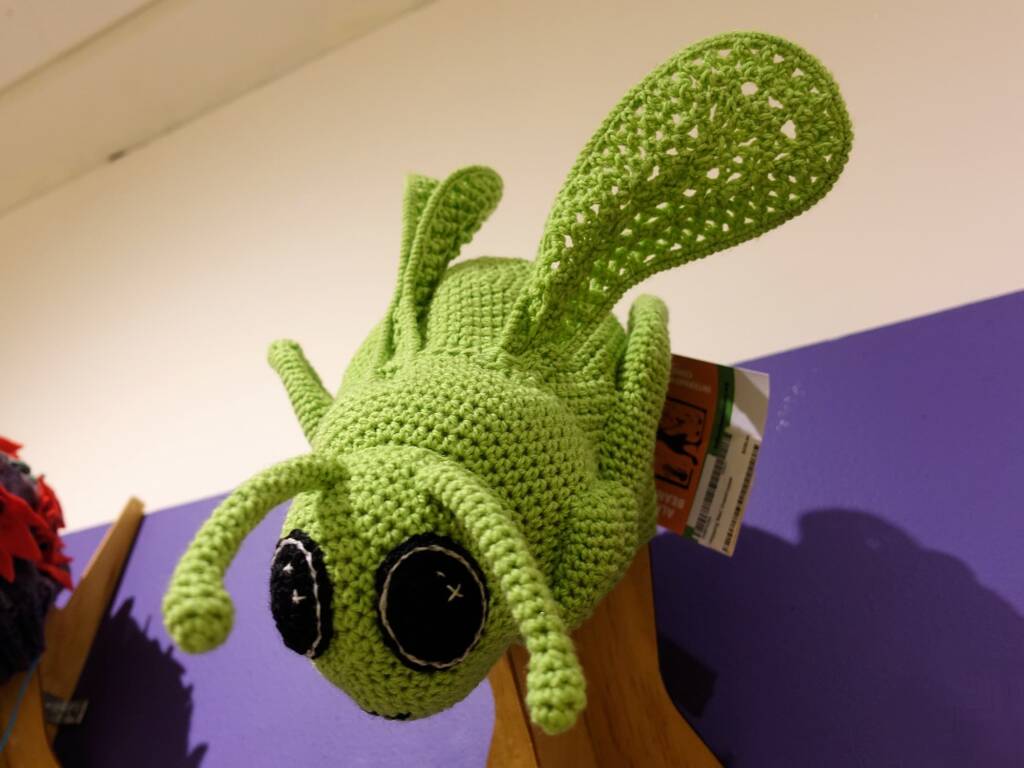 Hopping Mad Grasshopper, by Karen Farrell - Alice Springs Beanie Festival 2024