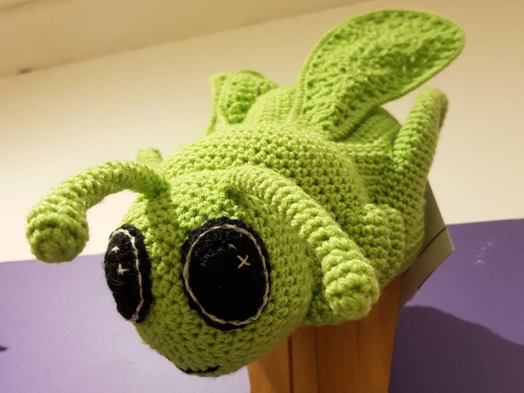 Hopping Mad Grasshopper, by Karen Farrell - Alice Springs Beanie Festival 2024