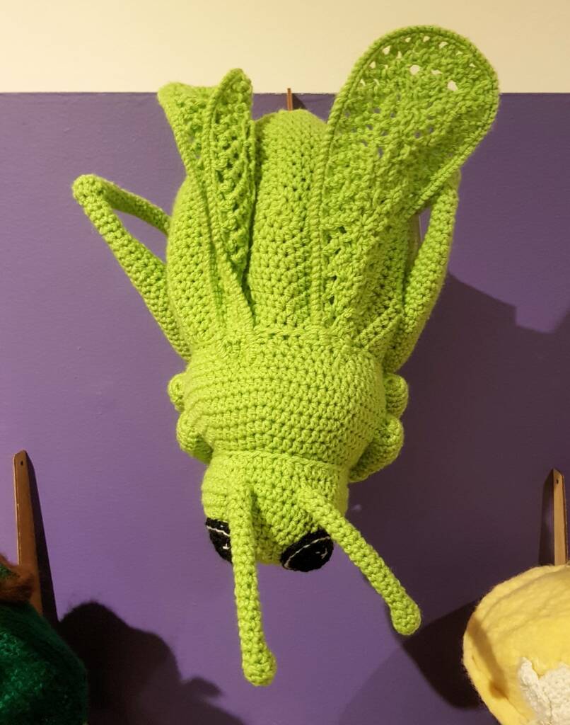 Hopping Mad Grasshopper, by Karen Farrell - Alice Springs Beanie Festival 2024