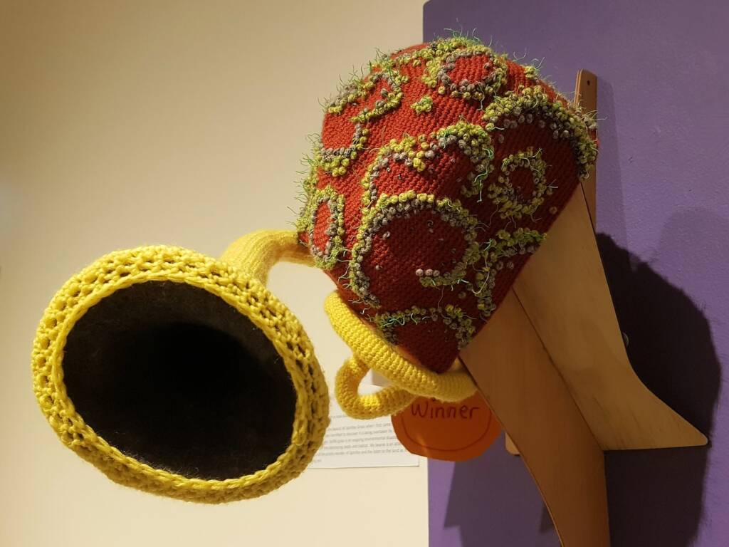 Spinifex Fix, by Krtistin Phillips, Adelaide Hills SA - Alice Springs Beanie Festival 2024