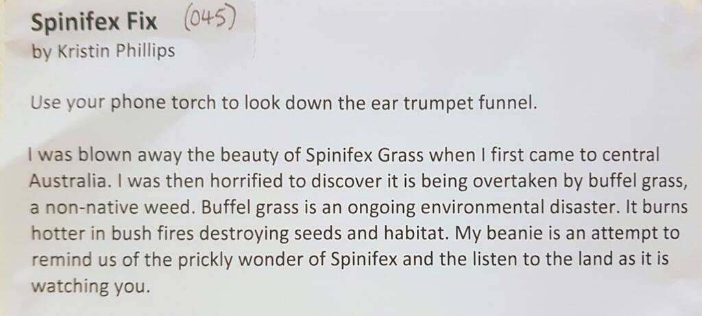 Spinifex Fix, by Krtistin Phillips, Adelaide Hills SA - Alice Springs Beanie Festival 2024