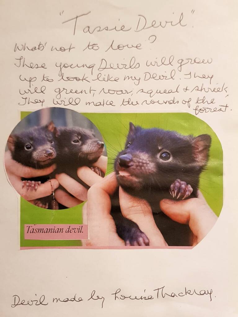 Tassie Devil, by Louise Thackray - Alice Springs Beanie Festival 2024