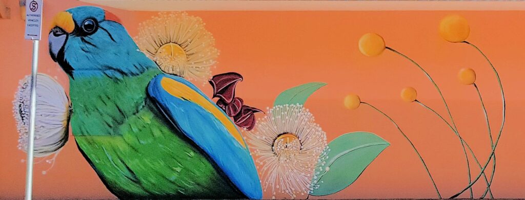 Mulga Parrot by Karine 's Art -KAWA, Mparntwe Street Art Festival 2024 (#msaf2024), Alice Springs NT