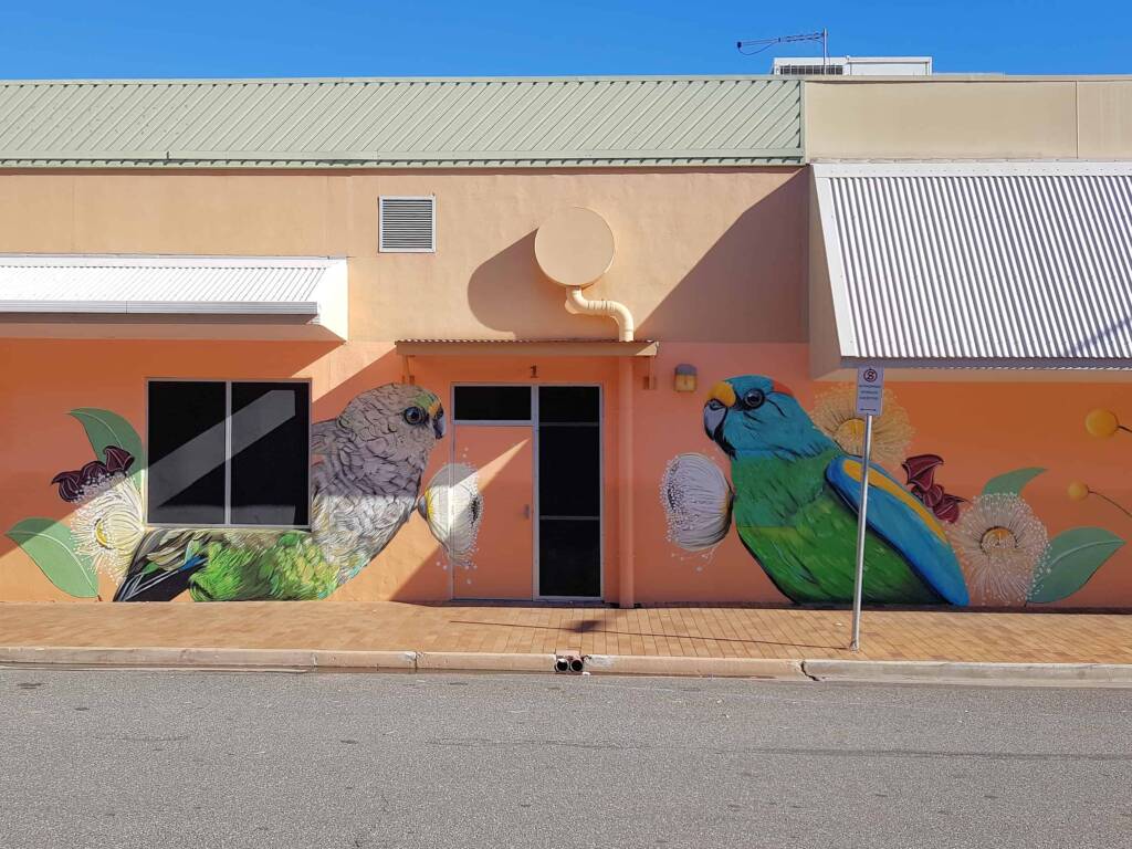 Mulga Parrot by Karine 's Art -KAWA, Mparntwe Street Art Festival 2024 (#msaf2024), Alice Springs NT